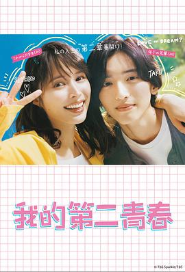 网站专业seo优化